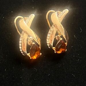 Elegant Gold and Amber Earrings